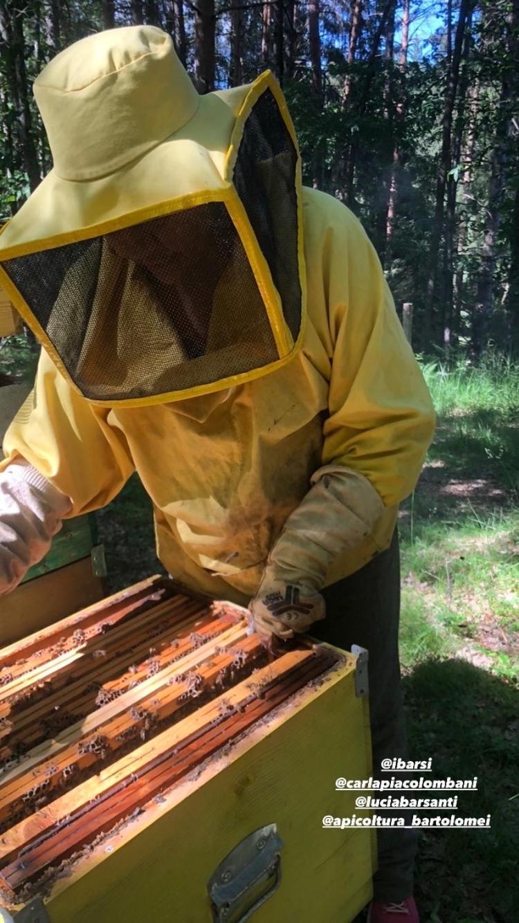 Agriturismo La Casa Nel Bosco Βίλα Boveglio Εξωτερικό φωτογραφία