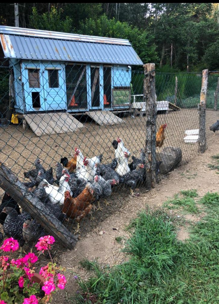 Agriturismo La Casa Nel Bosco Βίλα Boveglio Εξωτερικό φωτογραφία